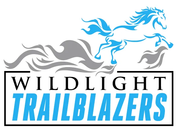 Wildlight Elementary School logo