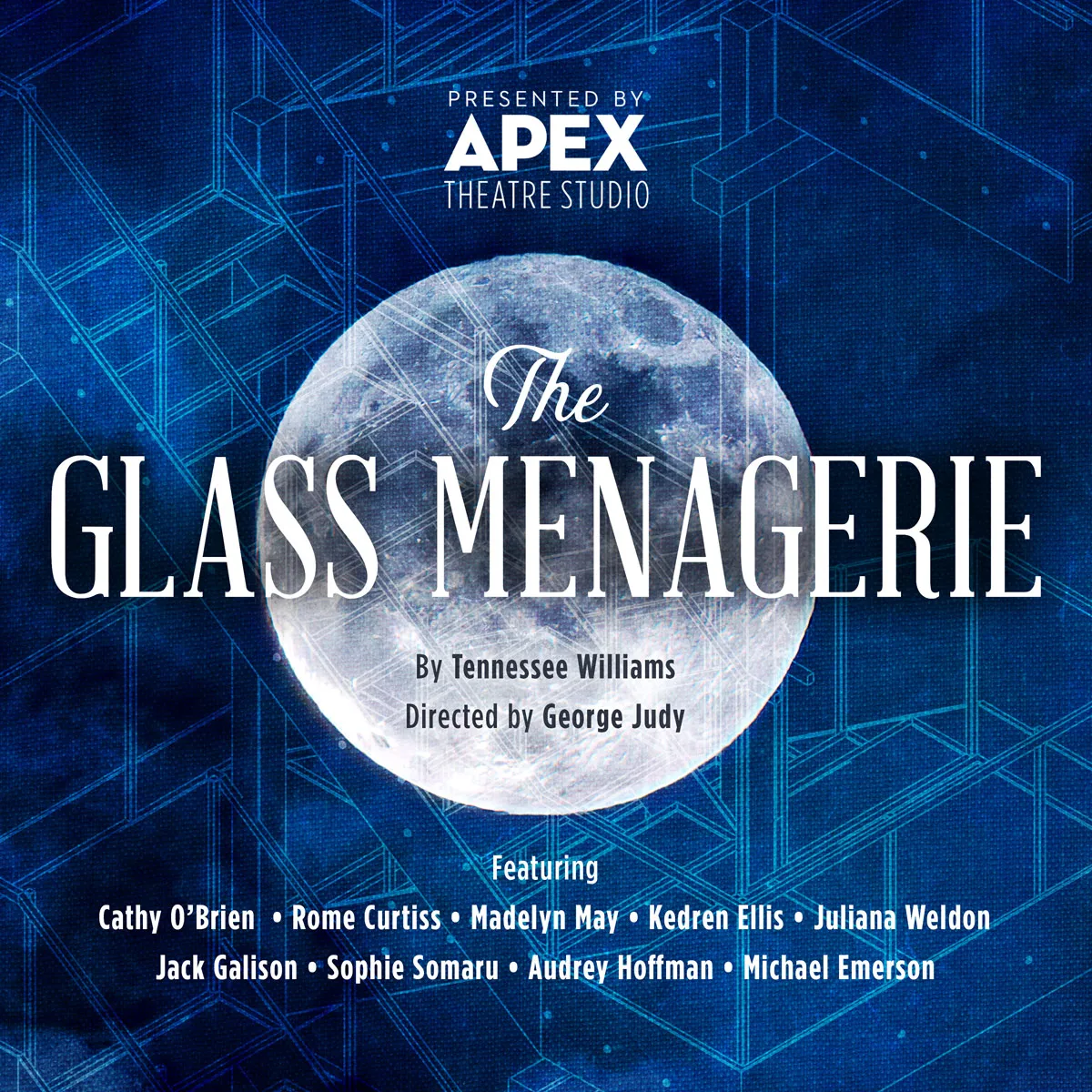 image from The Glass Menagerie