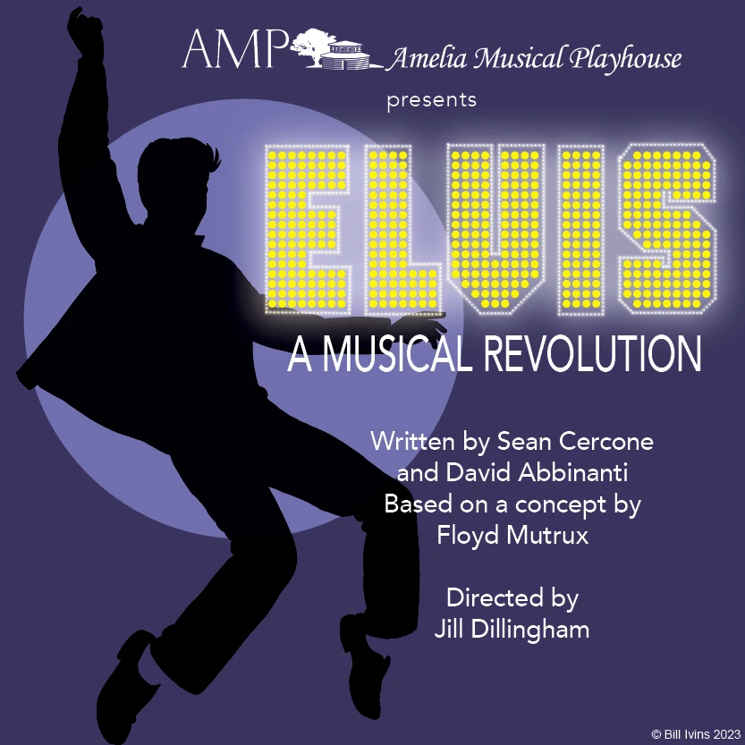 image from Elvis: A Musical Revolution